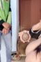 Prank Ojol Paling baru Mei 2026, Kumpulan Video Dewasa , Pusat Film Dewasa, Video Viral , Viral 2026, Film Hot Dewasa, Dewasa21, Birahi21, Nonton Film Dewasa, Video Hot